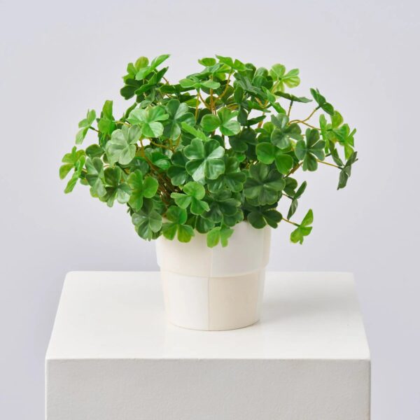 A Bit of Luck - Lifelike Faux Shamrock Clover Day Spring Arrangement - Green