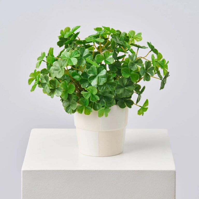 A Bit of Luck - Lifelike Faux Shamrock Clover Day Spring Arrangement - Green