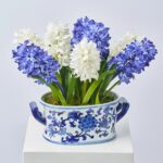 Realistic Blue and White Hyacinth Bloom in Chinoiserie Terrine Vase Spring Faux Floral Table Arrangement