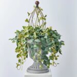 Heirloom Vines - Mixed Fittonia and Frosted Grapevine Ivy Faux Plant Arrangement - Green
