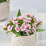 Close-up of bloom cluster detail on this Mini Dianthus Blooms White Lavender Faux Floral Arrangement