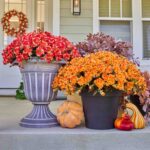 Full display view of the Orange Faux Classic Mum Bush Fall Arrangement Urn with bloom