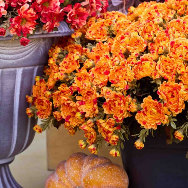 Close-up of bloom cluster detail on this Orange Faux Classic Mum Bush Fall Arrangement Urn