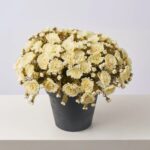 Alternate angle of the Cream Faux Classic Mum Bush Fall Arrangement Urn showing full arrangement