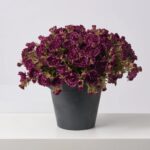 Alternate angle of the Purple Faux Classic Mum Bush Fall Arrangement Urn showing full arrangement