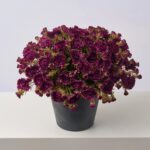 The Purple Faux Classic Mum Bush Fall Arrangement Urn shown in full, highlighting bloom cluster