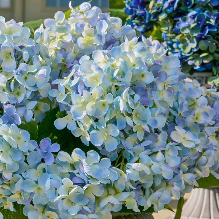 Close-up of bloom cluster detail on this Blue Faux Hydrangea Bush Outdoor Summer Arrangement Urn