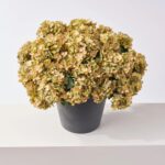 Detail view of stem and foliage layering from the Sage Green Faux Hydrangea Bush Fall