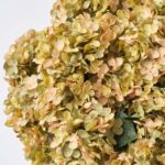 The Sage Green Faux Hydrangea Bush Fall Arrangement Urn shown in full, highlighting bloom cluster