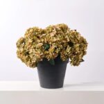 Alternate angle of the Sage Green Faux Hydrangea Bush Fall Arrangement Urn showing full arrangement