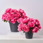 Faux Beauty Pink Peony Bush Outdoor Urn Filler Spring Summer Arrangement - Available in 2