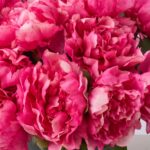 Detail view of stem and foliage layering from the Faux Beauty Pink Peony Bush Spring
