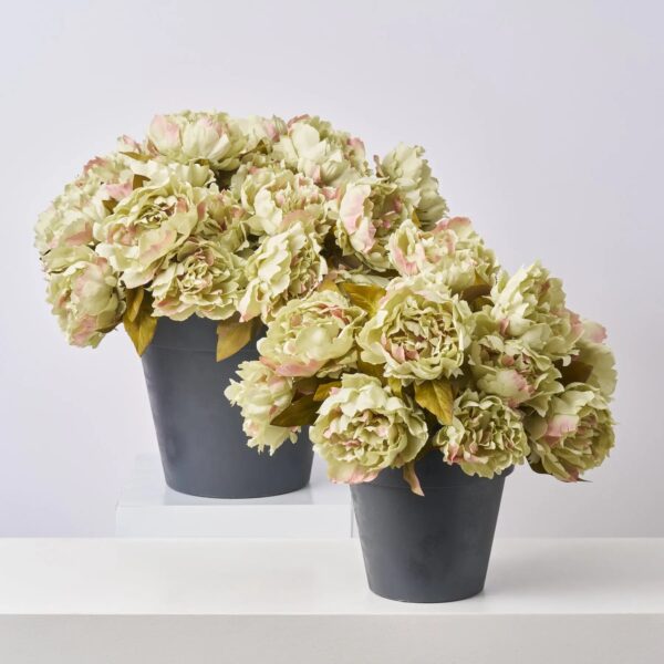 Faux Pistachio Green Peony Bush Outdoor Urn Filler Spring Summer Arrangement - Available in 2