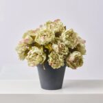 Close-up of bloom cluster detail on this Faux Pistachio Green Peony Bush Spring Summer Arrangement