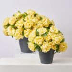 Close-up of bloom cluster detail on this Faux Yellow Peony Bush Outdoor Spring Summer Arrangement