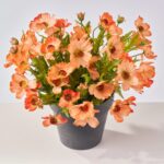 Close-up of bloom cluster detail on this Faux Coral Orange Cosmos Wildflower Spring Summer Arrangement