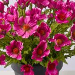 Close-up of bloom cluster detail on this Faux Orchid Purple Cosmos Wildflower Spring Summer Arrangement