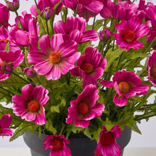 Close-up of bloom cluster detail on this Faux Orchid Purple Cosmos Wildflower Spring Summer Arrangement