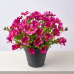 Alternate angle of the Faux Orchid Purple Cosmos Wildflower Spring Summer Arrangement showing full arrangement