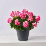 Real Touch Pink Geranium Spring Summer Outdoor Faux Urn Filler Arrangement