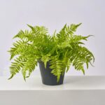 Lifelike Boston Fern Outdoor Faux Urn Filler Spring Everyday Arrangement - Green