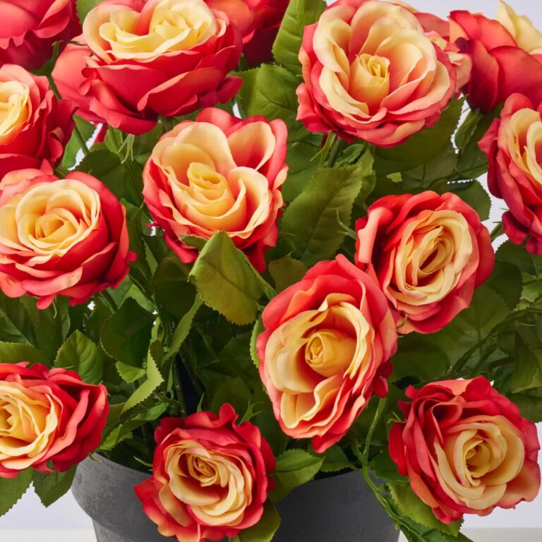Close-up of bloom cluster detail on this Flame Rose Bush Spring Fall Urn Filler Arrangement