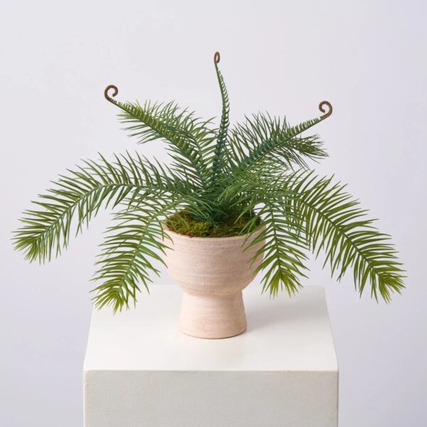 Wild Faux Cycas Fern in Footed Terracotta Pot Vase Everyday Greenery Spring Arrangement