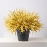 The Faux Triticum Wheat Bush Outdoor Potted Bush Arrangement shown in full, highlighting bloom cluster