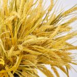 Detail view of stem and foliage layering from the Faux Triticum Wheat Bush Outdoor Potted