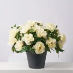 Alternate angle of the Lifelike Cream Peony Blooming Faux Spring Summer Arrangement showing full plant