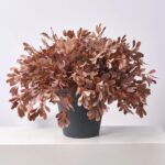 Close-up detail capturing stem and foliage layering of the Autumn Espresso Privet Bush Faux Front