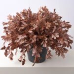 Full display view of the Autumn Espresso Privet Bush Faux Front Porch Arrangement with bloom