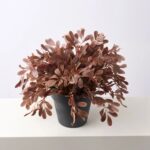 The Autumn Espresso Privet Bush Faux Front Porch Arrangement shown in full, highlighting bloom cluster