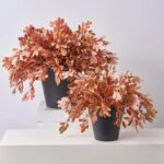 Autumn Terracotta Privet Bush Faux Foliage Outdoor Urn Filler Front Porch Arrangement - Available in