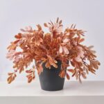 Close-up of bloom cluster detail on this Autumn Terracotta Privet Bush Faux Front Porch Arrangement