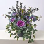 Alternate angle of the Lifelike Purple Cabbage Kale Bloom, Potted Plant Arrangement showing full plant