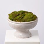 Natural Royal Moss Mound in Large Stone Washed Concrete Everyday Spring Arrangement - Green