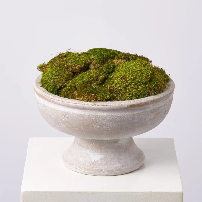 Natural Royal Moss Mound in Large Stone Washed Concrete Everyday Spring Arrangement - Green