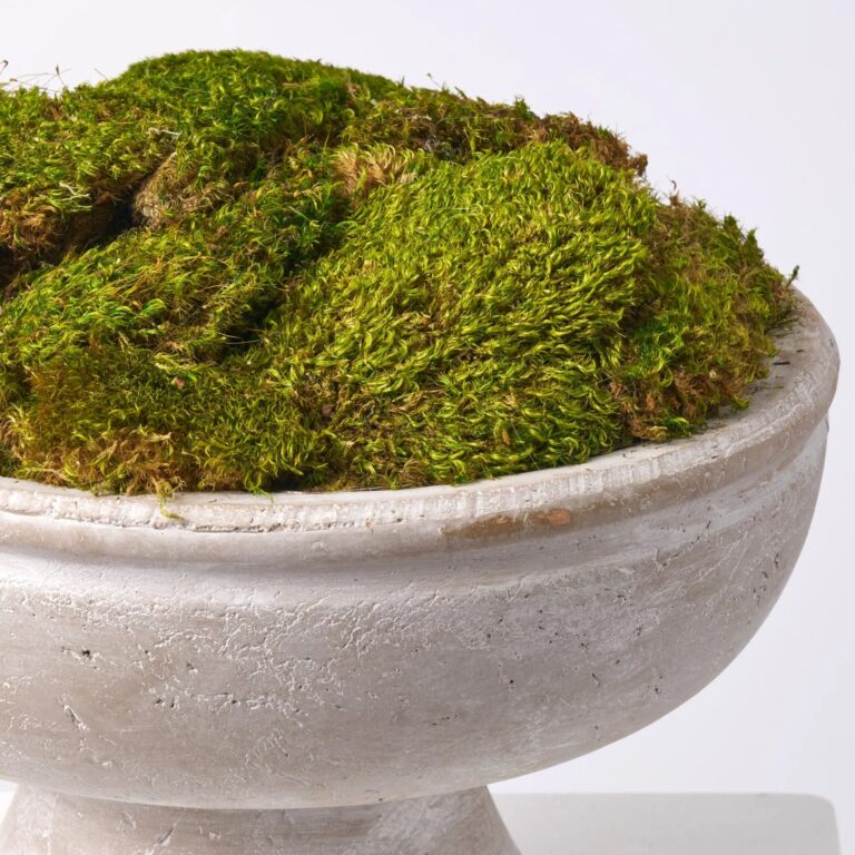 Close-up of vase silhouette detail on this Natural Royal Moss Mound Everyday Spring Arrangement