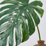 Close-up of vase silhouette detail on this Giant Lifelike Monstera Leaf Everyday Spring Arrangement