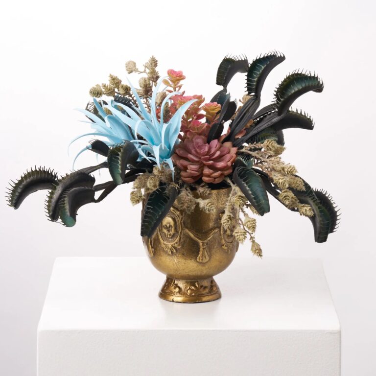 The Botanist's Experiment - Black Venus Flytrap, Pink Succulent Urn Halloween Arrangement
