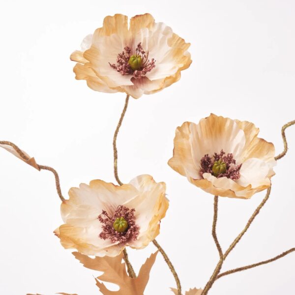Close-up of leaf foliage texture on this Fall Beige Tan Poppy Blooms Small Fall Arrangement