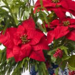 Detail view of stem and foliage layering from the Holiday Majesty - Real Touch Christmas