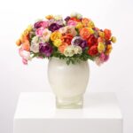 Detail view of stem and foliage layering from the Rainbow Ranunculus Sugar Skull Faux Muertos