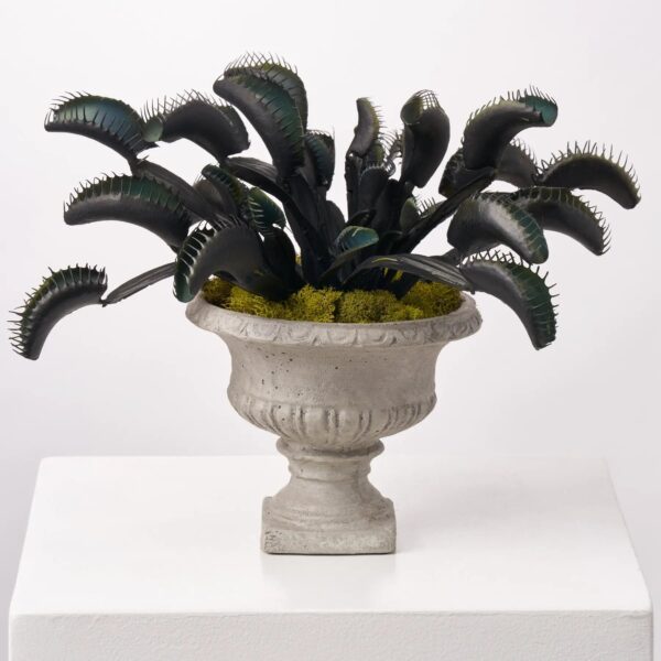 Black and Green Venus Fly Trap Faux Plant Spooky Halloween Arrangement Decor - Black