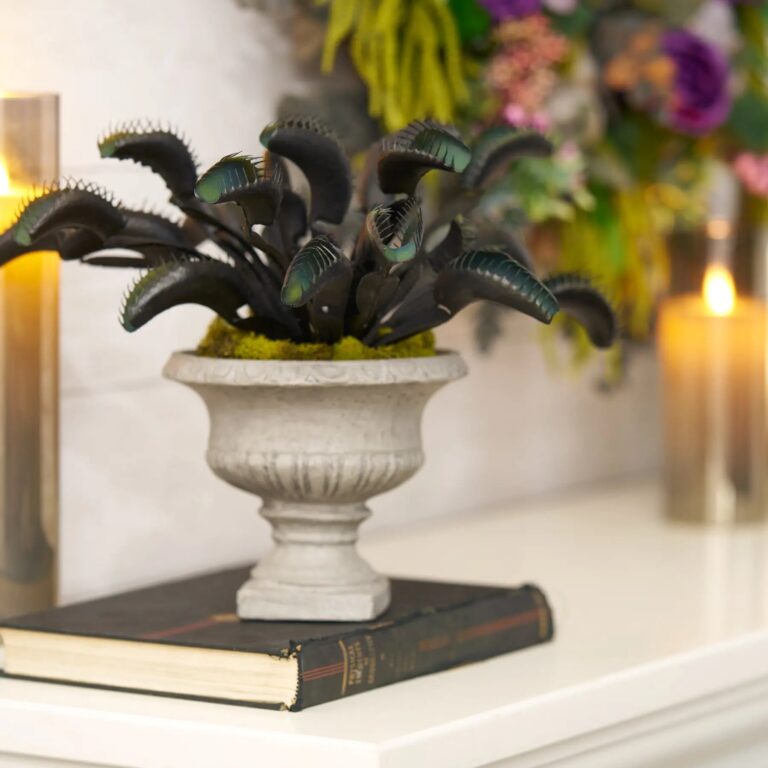 Close-up of leaf foliage texture on this Black and Green Venus Fly Spooky Halloween Arrangement