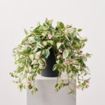Flowering Wandering Dude Faux Spring Summer Outdoor Urn Filler Front Porch Arrangement - Green and