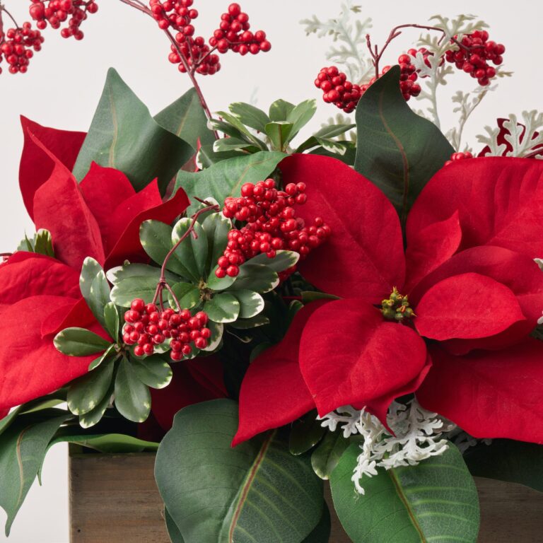 Close-up of leaf foliage texture on this Lifelike Red Poinsettia , Pittosporum, Box Planter Arrangement