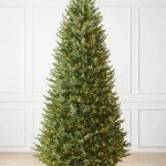 BH Balsam Fir Narrow