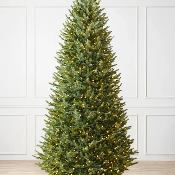 BH Balsam Fir Narrow